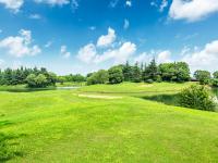 IM电竞投注平台-smile光照面寒风挡不住，力争摆脱阴霾迎接阳光的简单介绍