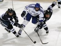 IM电竞官网-阿劳霍爆发！阿根廷最后时刻绝杀沙特，南美足球的韧性与荣耀