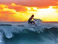 IM电竞投注平台-当安菲尔德遇见彩虹之国，迪巴拉数据爆炸背后的战术革命